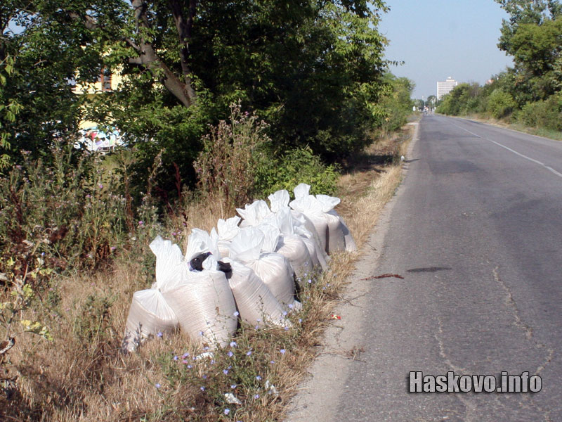 Инцидентът Инцидентът