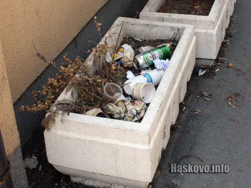 Саксиите с боклуците Саксиите с боклуците