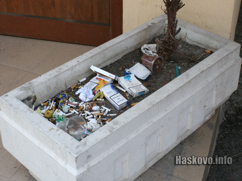 Саксиите с боклуците Саксиите с боклуците