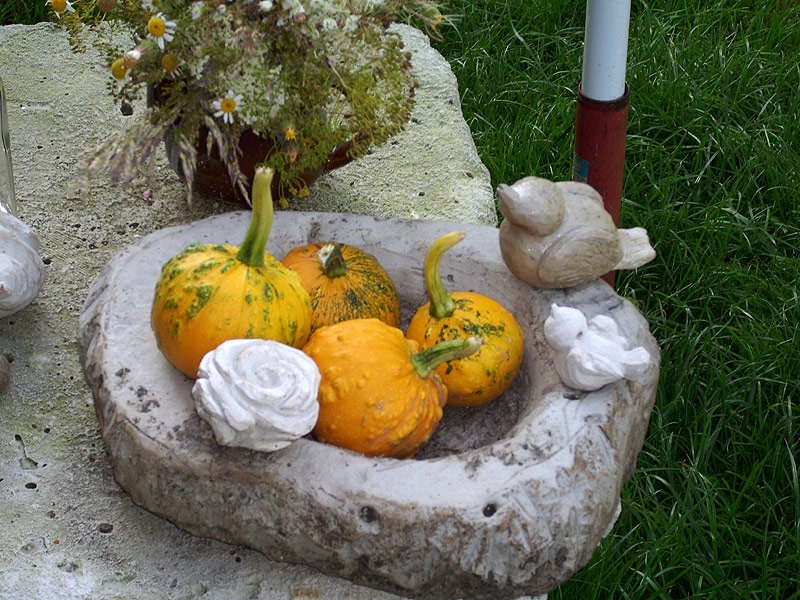 Творенията на Силвия Предова