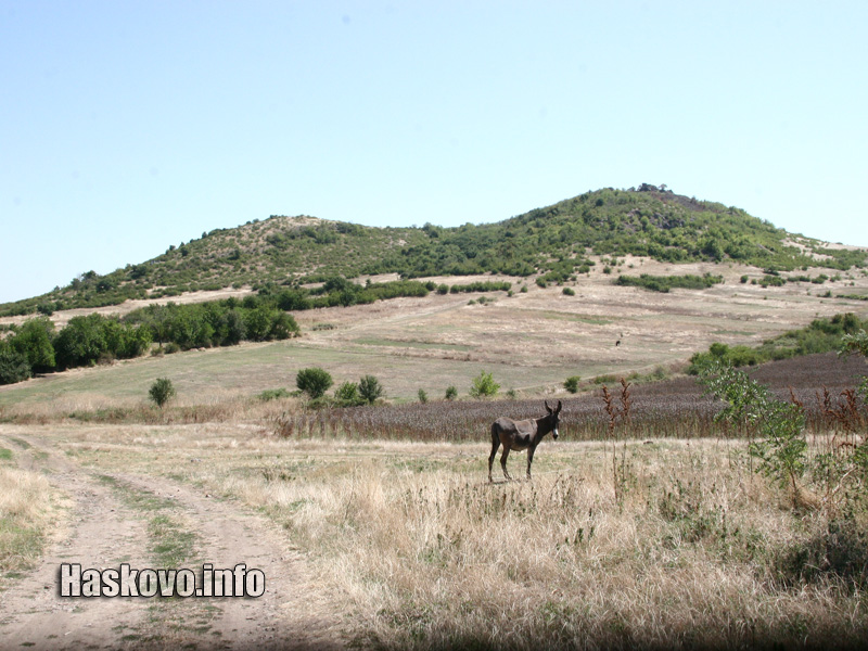 Кариера край Сталево