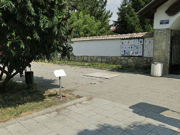 Табелки с позитивни мисли в Димитровград