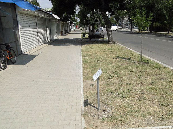 Табелки с позитивни мисли в Димитровград