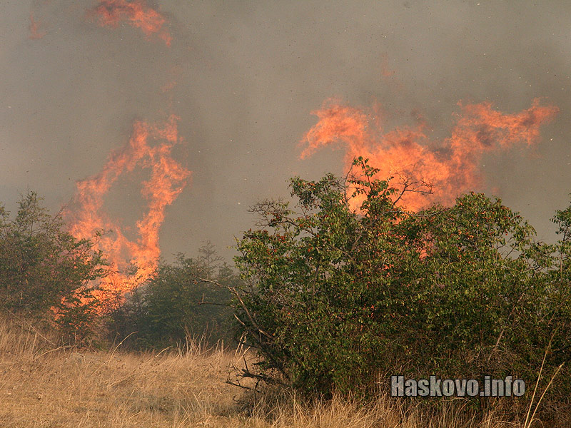 Пожарът край Татарево