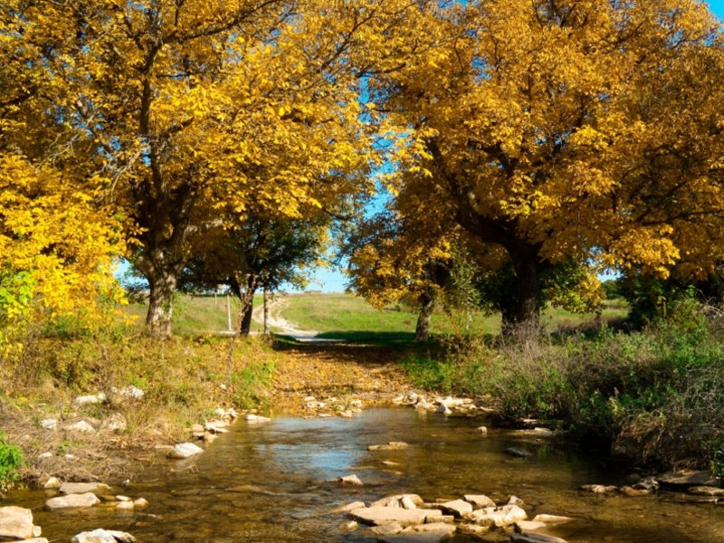 снимка: Христо Русев, 16 г., Свиленград