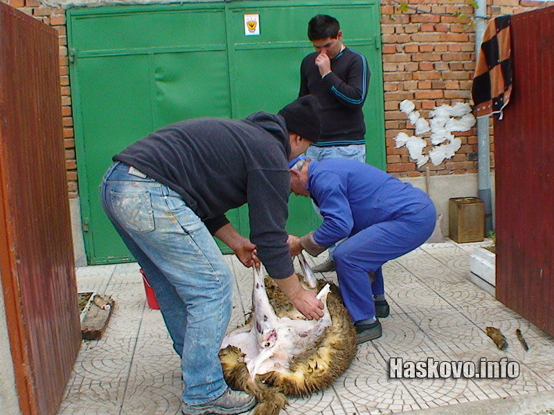 Курбан Байрам