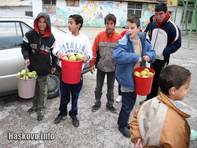 Круши за домовете в Хасково, снимка Георги Даскалов