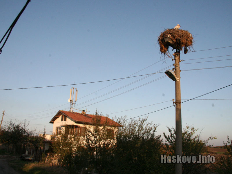 Щъркелът в Подкрепа