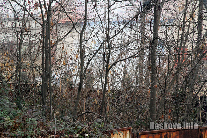 Пожарът Пожарът