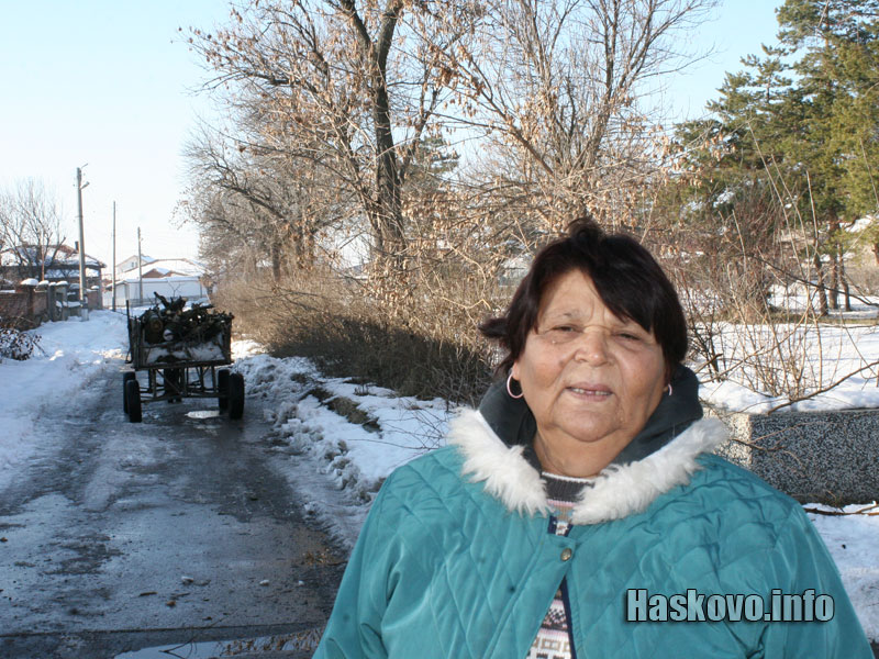 Санитарна сеч