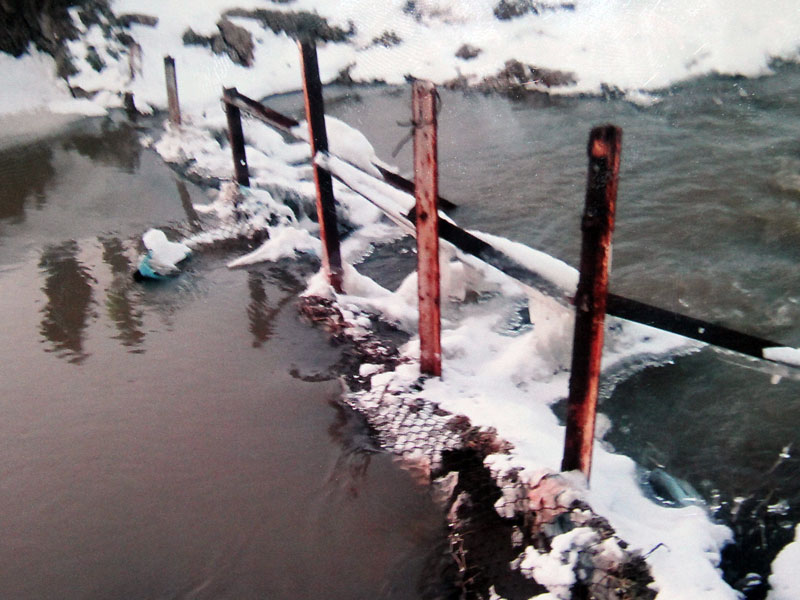 Язовир Елена