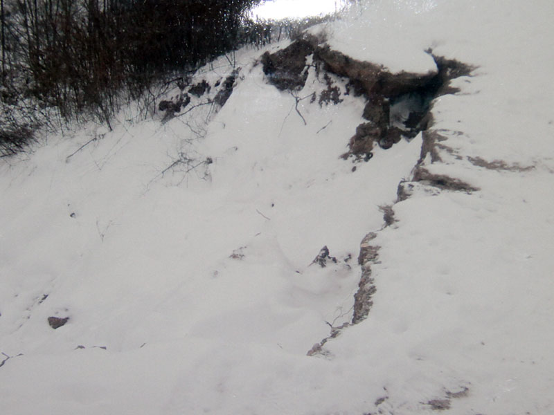 Язовир Елена