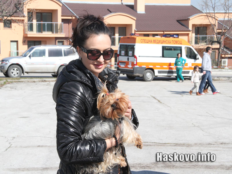 Изложбата Изложбата