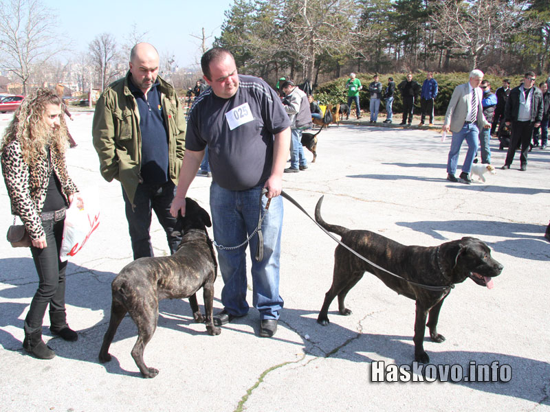 Изложбата Изложбата