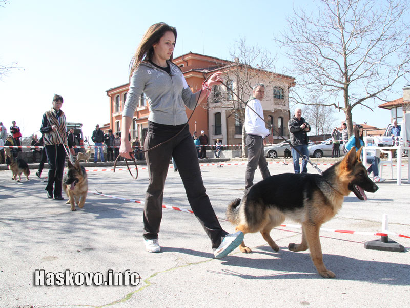 Изложбата Изложбата