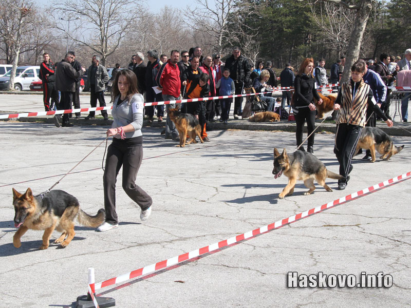 Изложбата Изложбата