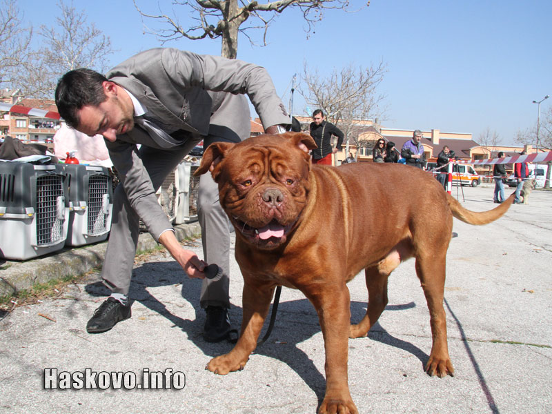Изложбата Изложбата