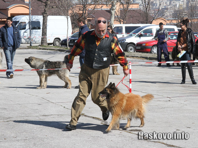 Изложбата Изложбата