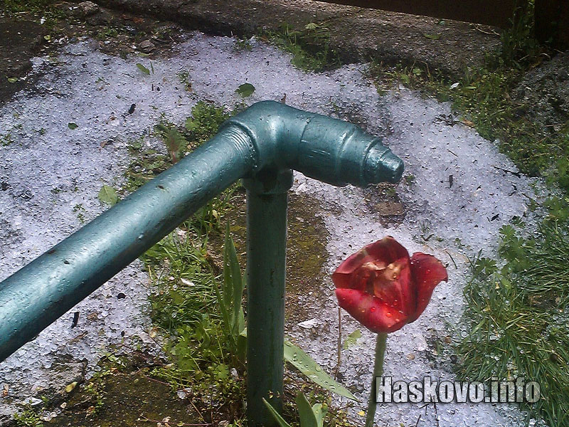 Градушка Градушка