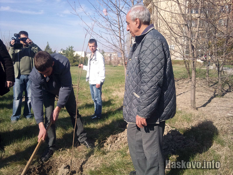 Засаждането на дръвчетата