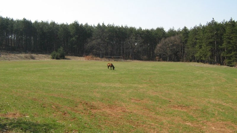 Снимката на Мартин Кълвачев