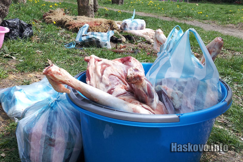 Агнешко, илюстрация