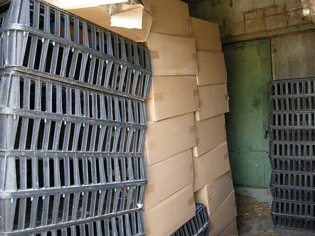 Цигарите Цигарите