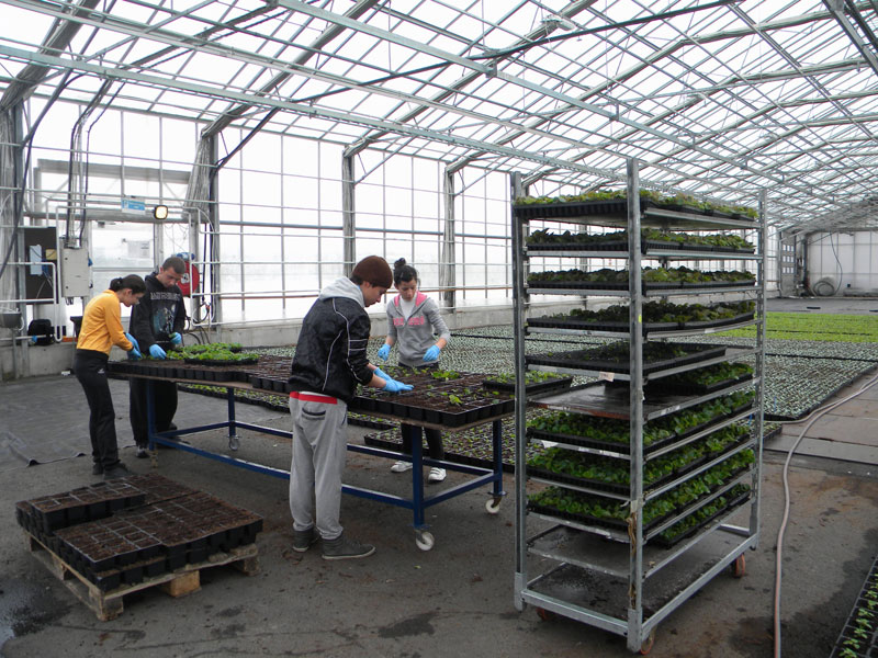 Практиката в Норвегия