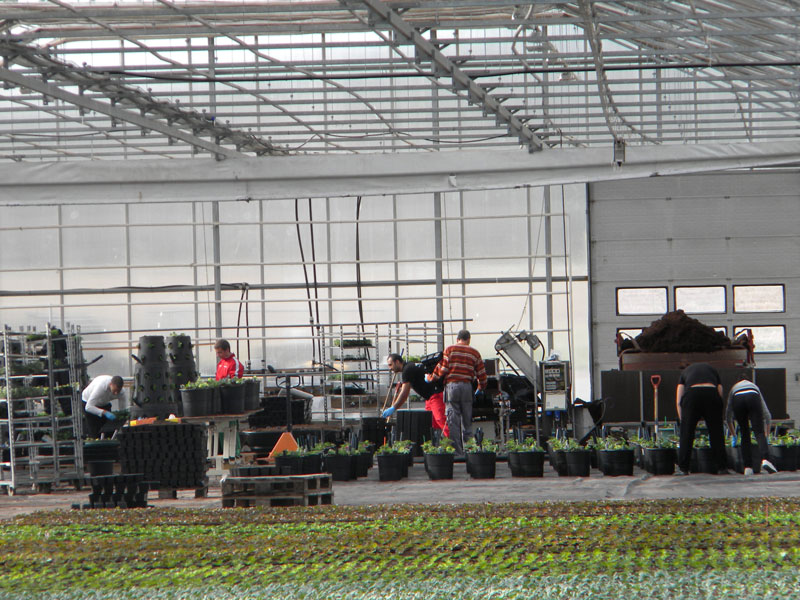 Практиката в Норвегия