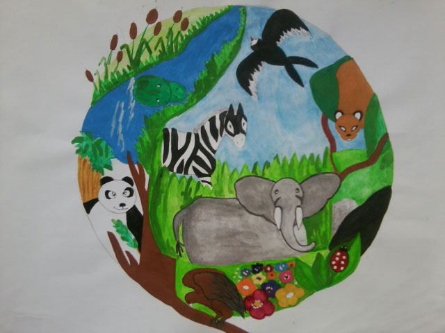 Състезанието