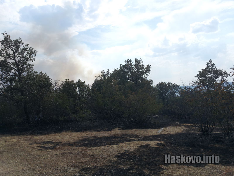 Пожарът Пожарът