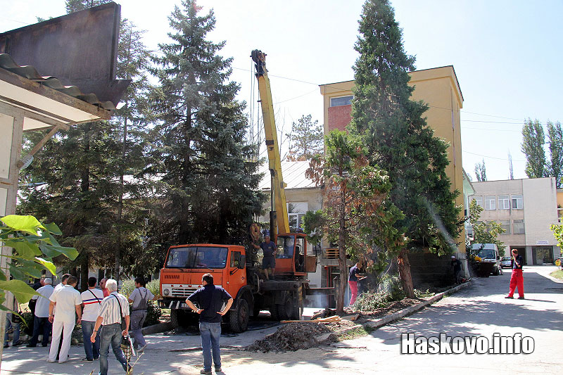 Илюстрация