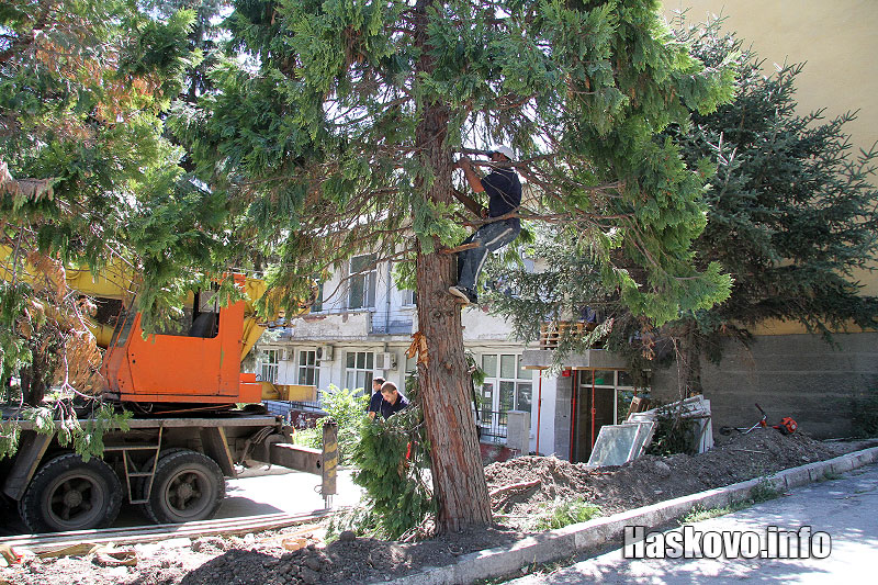 Ангиографът