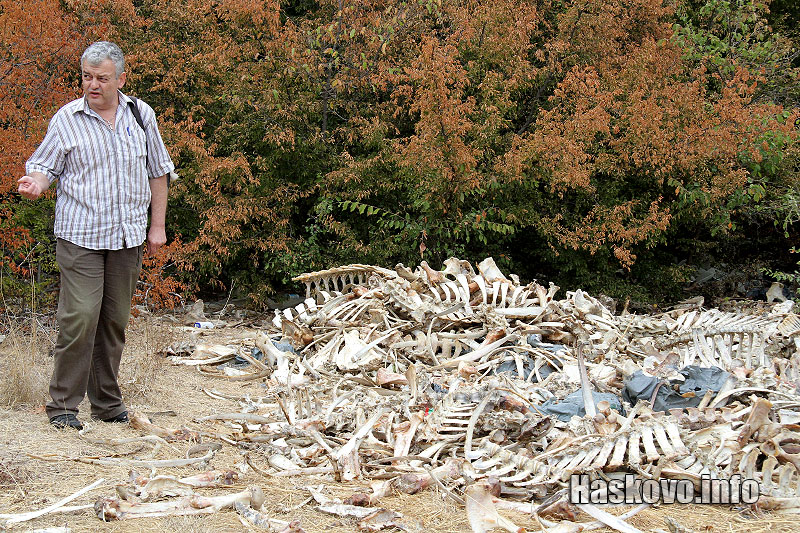 Инспекцията