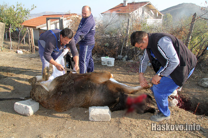 Курбан Байрамът