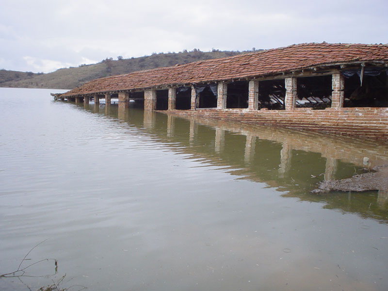 снимка: Е-Свиленград