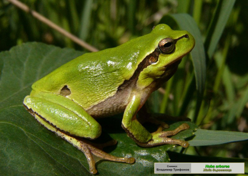 Фотос от изложбата