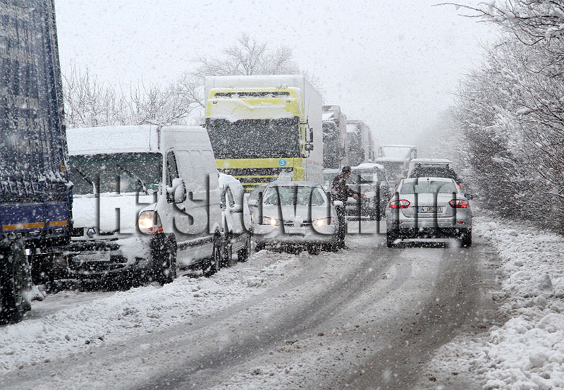 Сняг, архив