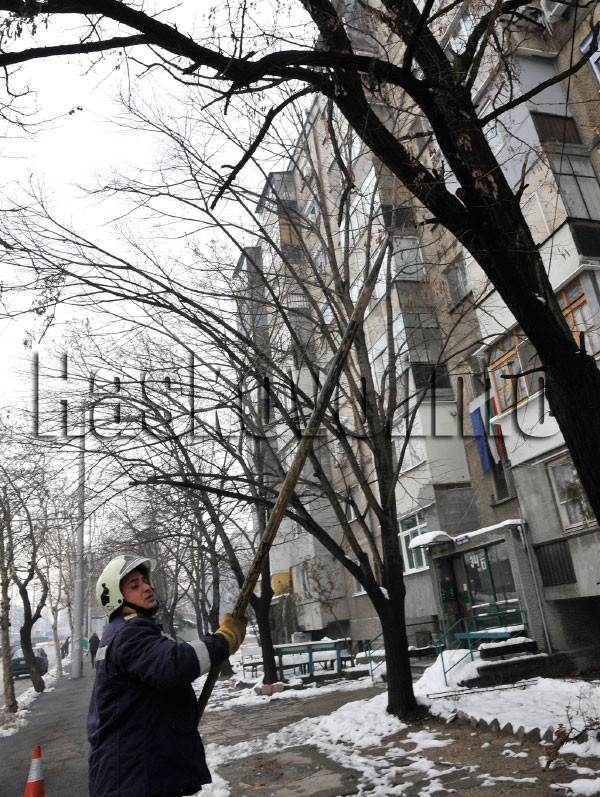 Опасни клони