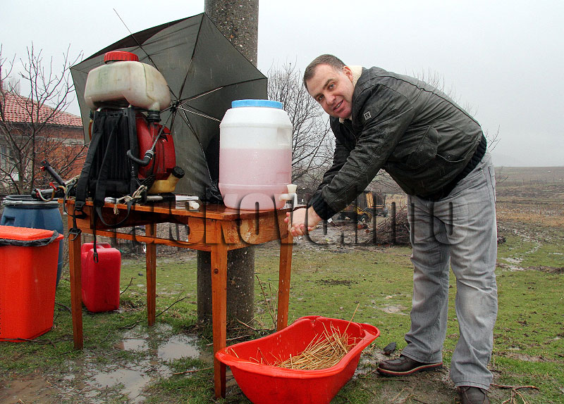 Звиница Звиница