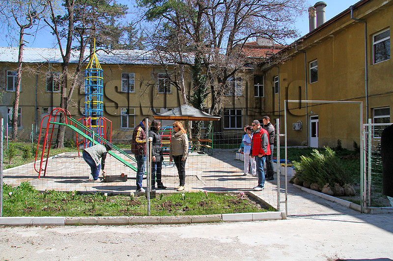 Озеленяване