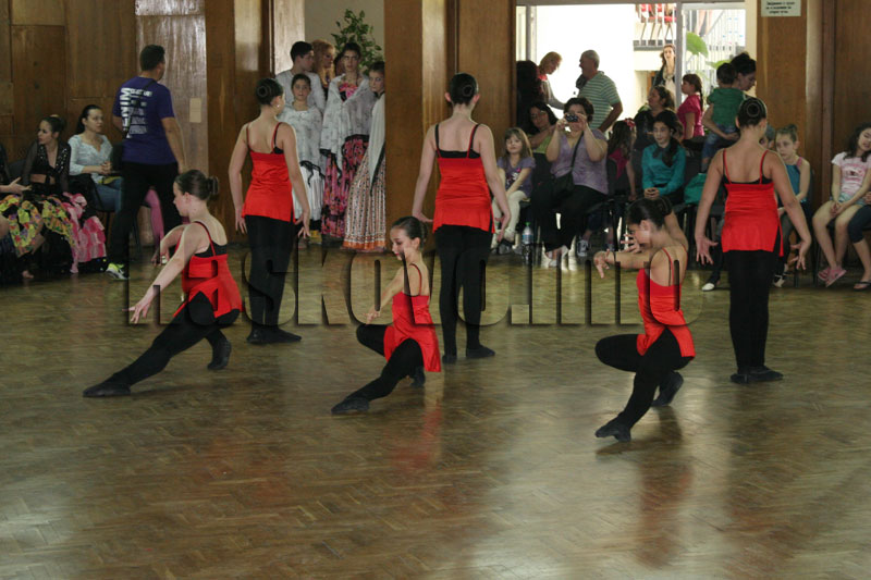 Фестивалът