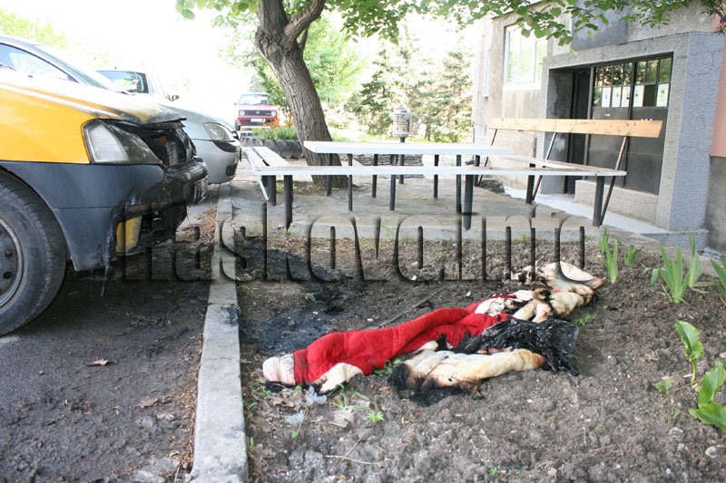 Пожарът в Орфей Пожарът в Орфей