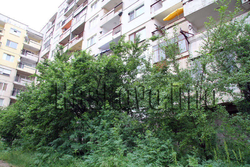 Тревите Тревите