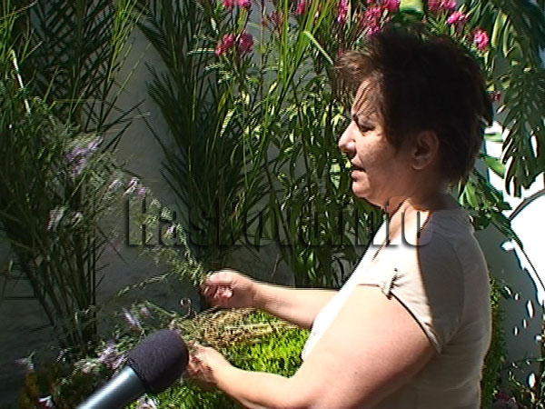 Ивайловград