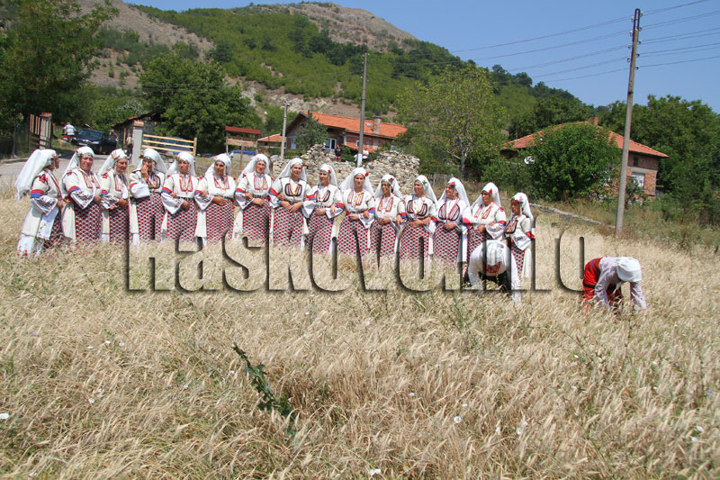 Фестивал на хляба