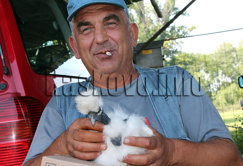 Домашни любимци