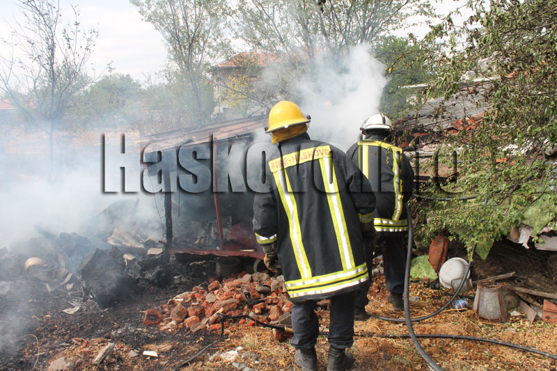 Илюстрация