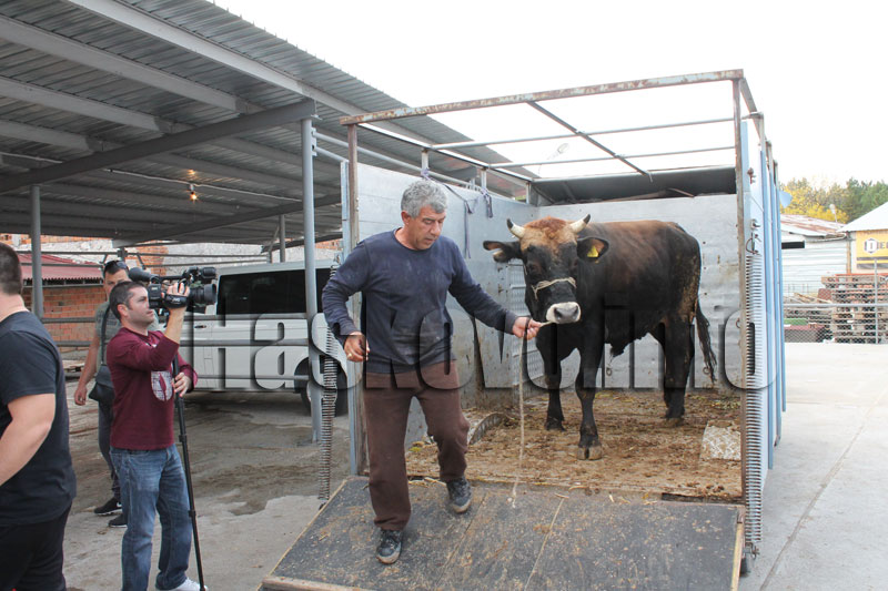 Курбан за бежанците