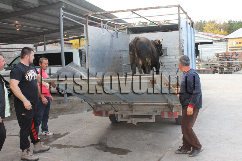 Курбан за бежанците